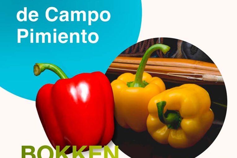Días 3 y 4 de noviembre. Jornadas de campo de pimiento de Syngenta
