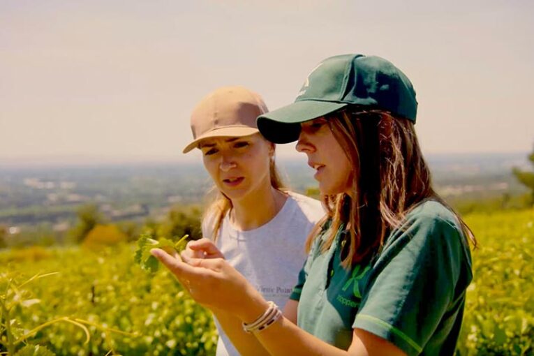 Consejos para el control biológico al aire libre