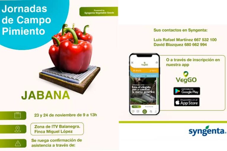 Días 23 y 24 de noviembre. Jornadas de campo de pimiento de Syngenta