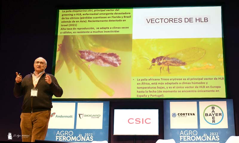 Alberto Fereres, ICA-CSIC / agroautentico.com