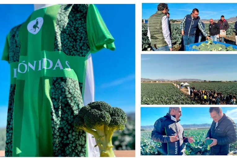 Sakata refuerza su liderazgo en brócoli con la nueva variedad Leónidas