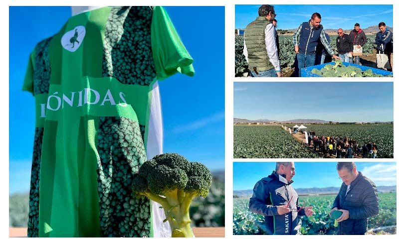 Sakata refuerza su liderazgo en brócoli con la nueva variedad Leónidas