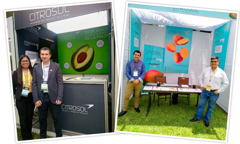 Citrosol promociona en Perú su catálogo y conocimientos sobre aguacate y mango