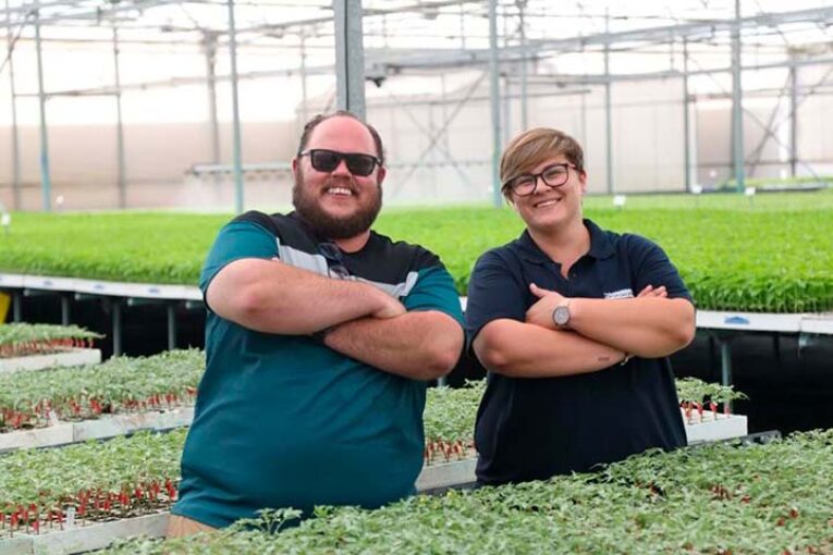 Cristalplant se hermetiza con las mallas anti insectos de Svensson