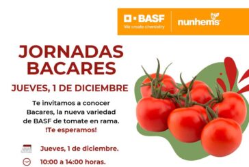 Día 1 de diciembre. Jornada de tomate Bacares de Nunhems