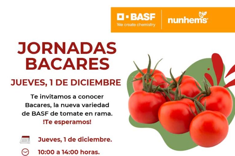 Día 1 de diciembre. Jornada de tomate Bacares de Nunhems