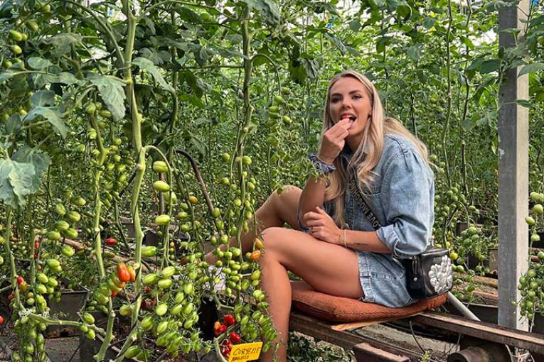 Influencers alemanes bajo los invernaderos solares