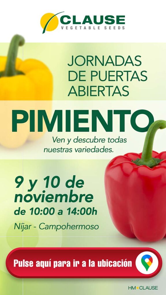 Jornadas de pimiento de HM Clause
