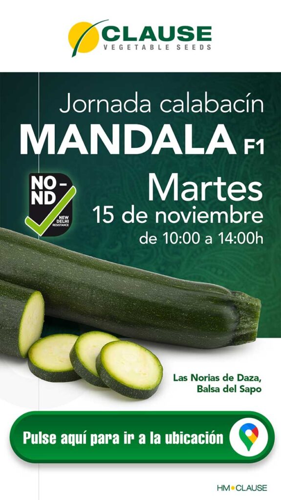 Jornada de calabacín Mandala-agroautentico.com