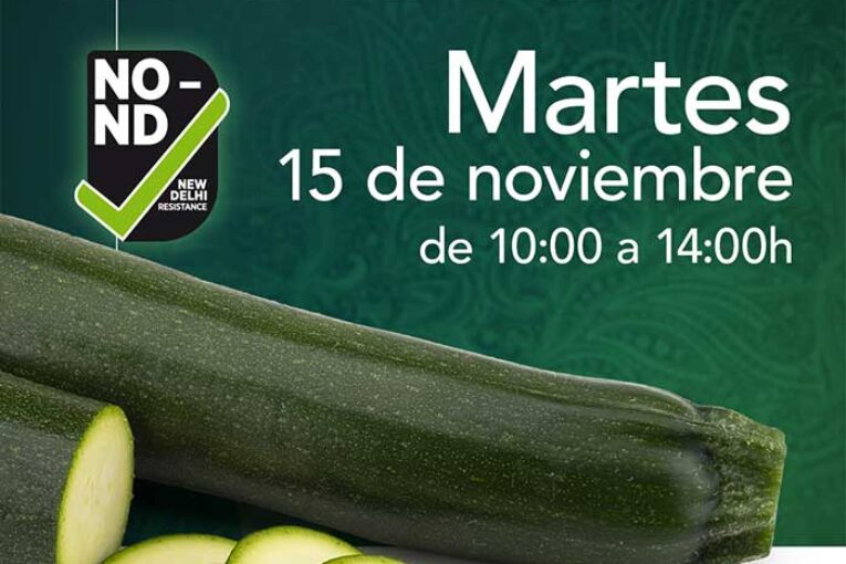 Día 15 de noviembre. Jornada de calabacín Mandala de HM.Clause