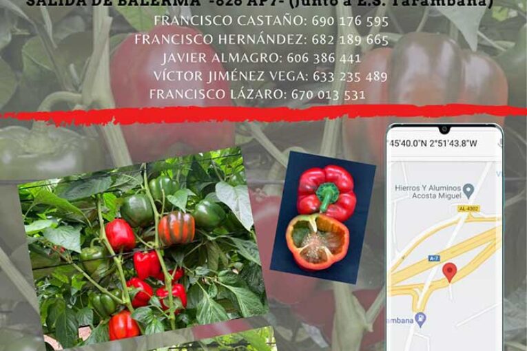 Días 24 y 25 de noviembre. Jornadas de pimiento de agroTIP