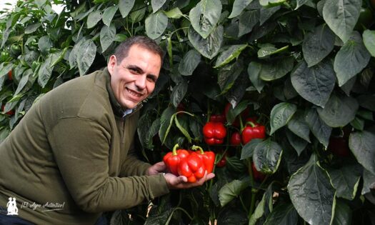 José Ramón Martínez, especialista de pimiento en Nunhems / agroautentico.com