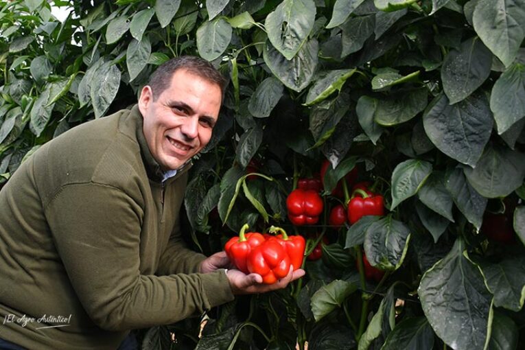Primeras puertas abiertas del esperado pimiento Krakos