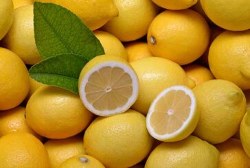 Lo que no sabías del limón para cuidar la piel en invierno