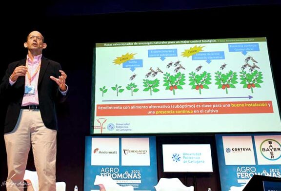 La Politécnica de Cartagena investiga bichos resistentes a insecticidas y frío