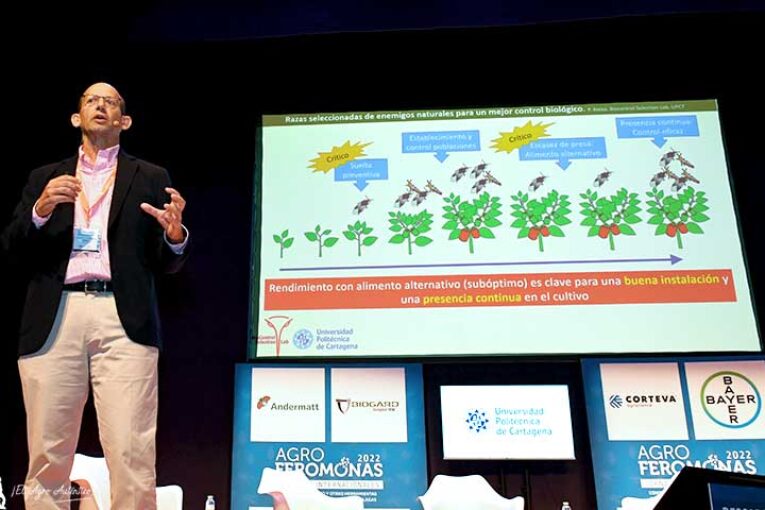 La Politécnica de Cartagena investiga bichos resistentes a insecticidas y frío