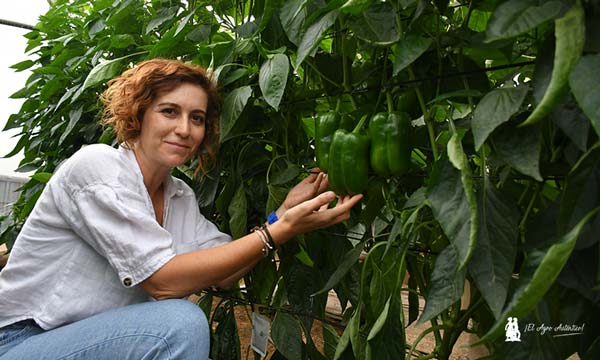 Marina García muestra los frutos del número PL406, aún en fase precomercial / agroautentico.com