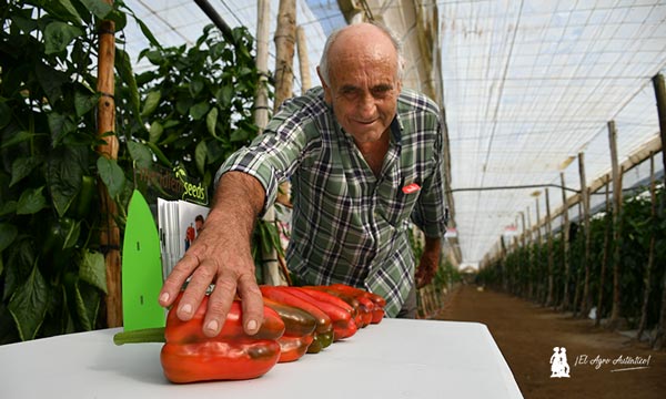 Emilio Rivas, de Meridiem Seeds, elige una fruta número PL406 / agroautentico.com