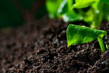 La campaña #SoilFacts de Alltech pone el foco en la salud del suelo