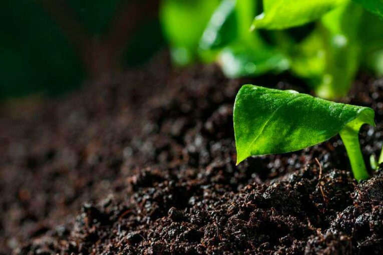 La campaña #SoilFacts de Alltech pone el foco en la salud del suelo