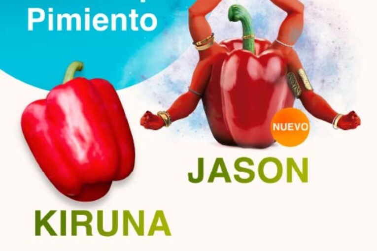 Días 15 y 16 de noviembre. Jornadas de campo de pimiento de Syngenta