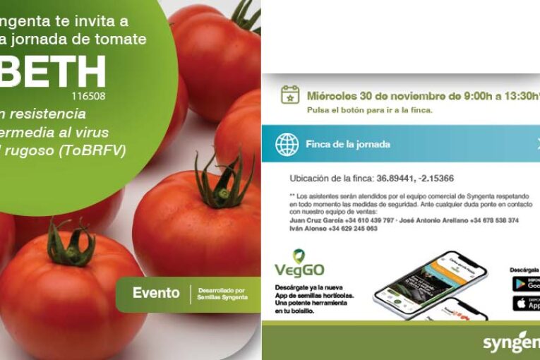 Día 30 de noviembre. Jornada de tomate Ibeth de Syngenta