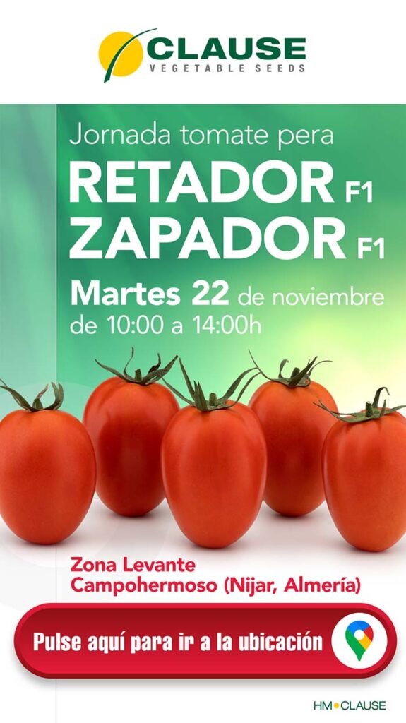 Tomate Retador y Zapador-agroautentico.com