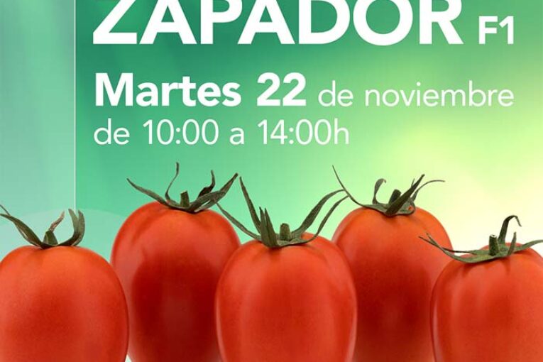 Día 22 de noviembre. Jornada de tomate pera de HM.Clause