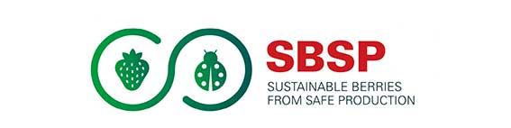 Frutos rojos sostenibles de Producción Segural certificado SBSP