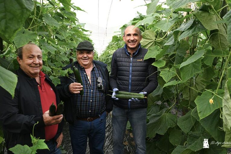 Nunhems se matricula en pepino con Tanker y Naval