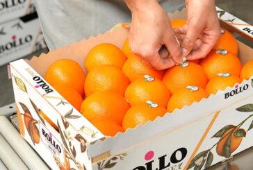 Bollo International Fruits y The Natural Fruit Company caminarán juntas