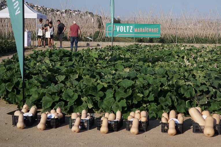 Voltz Maraîchage renueva catálogo con más de 60 novedades