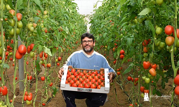 El agricultor Javier Expósito muestra una caja con la marca El Luchador / agroautentico.com