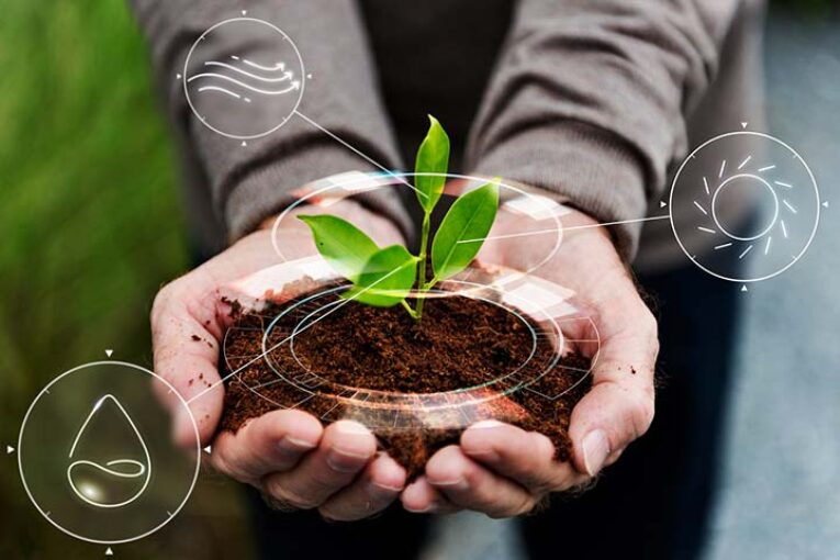 Las empresas agrotecnológicas se citan en Infoagro