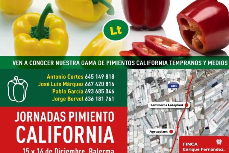 Días 15 y 16 de diciembre. Jornadas de pimiento de Ramiro Arnedo