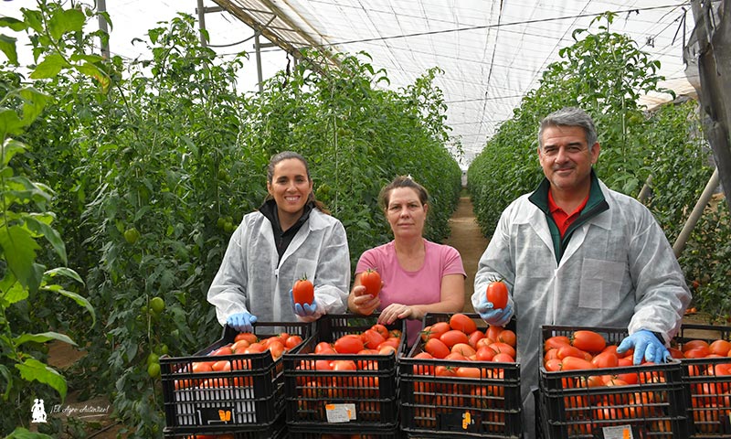 María Cara, Trina Haro y Juan Antonio con tomate Zapador