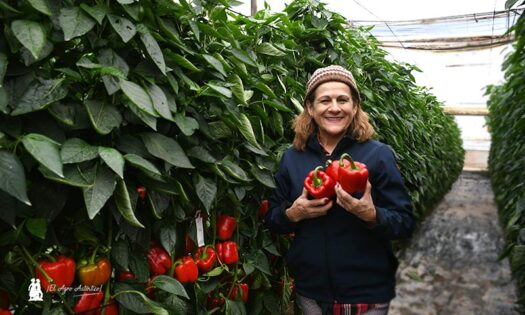 Marisol, propietaria de la finca de las jornadas de californias rojos / agroautentico.com