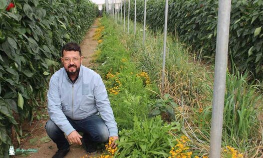 Paco Cara, gerente de Entonova, en uno de los banker / agroautentico.com