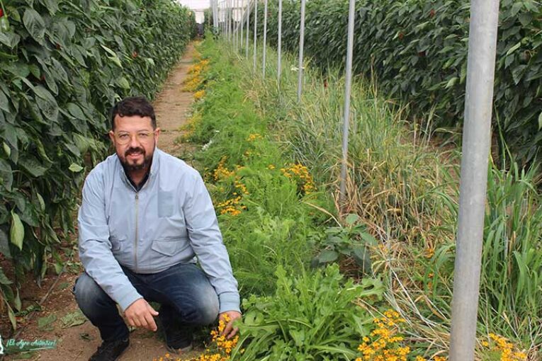 Entonova diseña banker para control biológico en melón y sandía