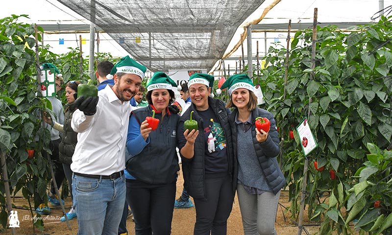 Piedad, Francisca e Irene, técnicas de Escobar Reyes, con Matías, de Sakata / agroautentico.com