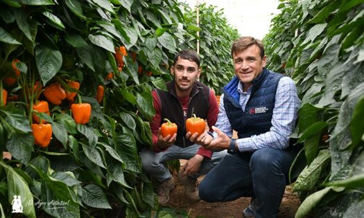 Rubén García, en su propia finca con David Blázquez, en una calle con pimiento Gambito / agroautentico.com