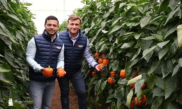José Vázquez y David Blázquez, miembros del equipo de Syngenta, en un líneo de Narvik / agroautentico.com