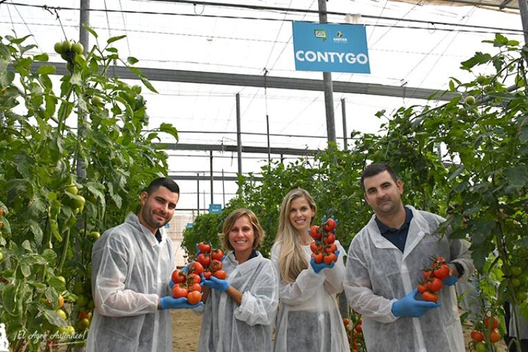 Nuevos peras, ramas y cherry en la vitrina de Gautier en Níjar