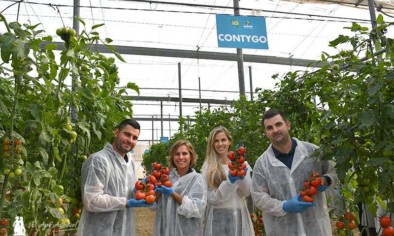 Daniel, Manuel y Maki, técnicos de Megasa en Níjar, con Nuria Rodríguez y la variedad Contygo / agroautentico.com