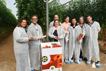Lo último de Rijk Zwaan en tomate: Pontal, Engelyta y Errasty