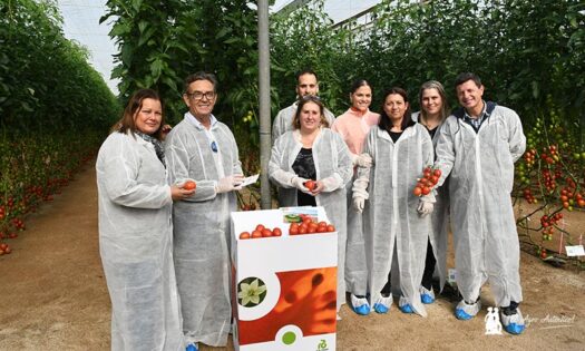 Técnicos de la cooperativa CASI en las jornadas de tomate de Rijk Zwaan / agroautentico.com