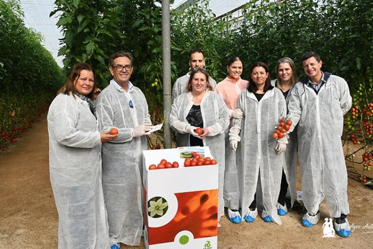 Lo último de Rijk Zwaan en tomate: Pontal, Engelyta y Errasty