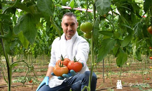 Iván Alonso con frutos de la variedad Ibeth resistente a rugoso / agroautentico.com