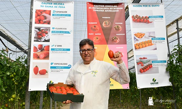 Manuel Martínez con el tomate pera AL624 / agroautentico.com
