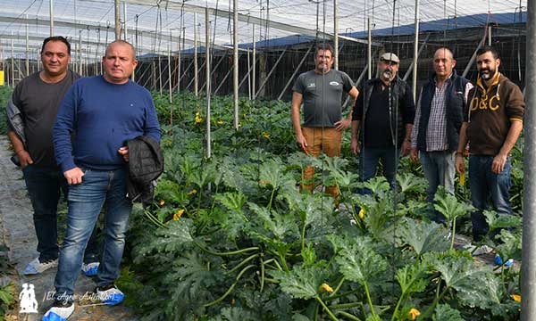 Agricultores de Berja en las jornadas de calabacín de Syngenta en la finca de CV11981 / agroautentico.com